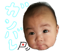 50200377