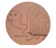 50201690