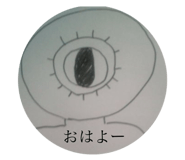 50201691