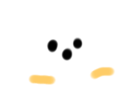 502021717