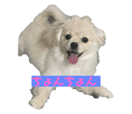 502023009
