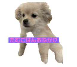 502023011