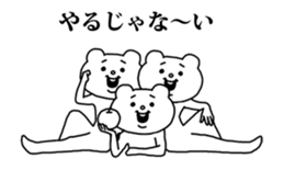 50202445