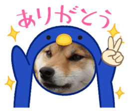 502027803