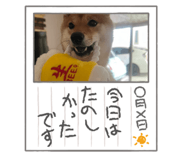 502027809