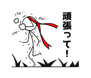 50203038