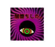 50203044
