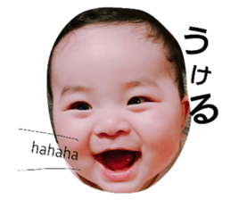 50203135