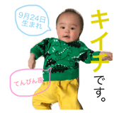 50204534