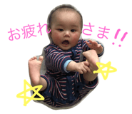 50204536