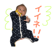 50204537