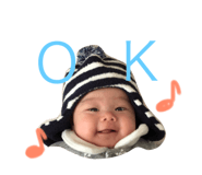 50204538