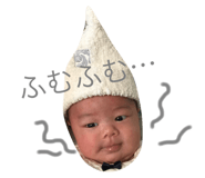 50204545