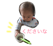 50204555