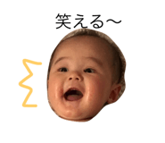 50204557