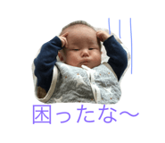 50204558