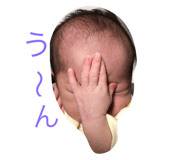 50204560