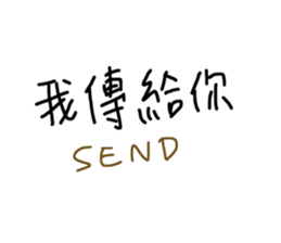 50205304