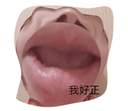 502066159