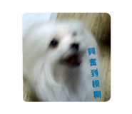 502069284