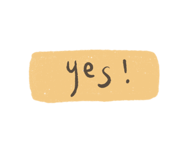 502069323
