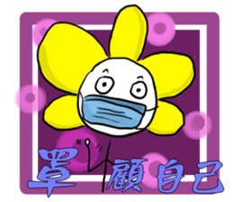 502082636
