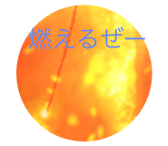 502101942