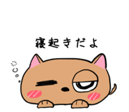 502123698