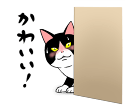 5021259