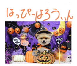 502153740