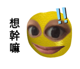 502195581