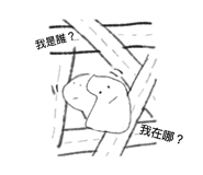 502204646