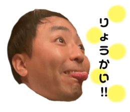 502238048