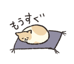 5022533