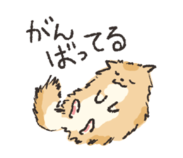 5022542