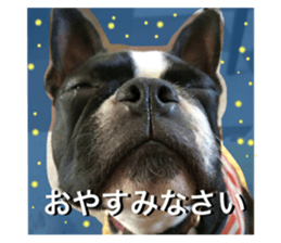 50228672
