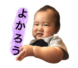 50230440