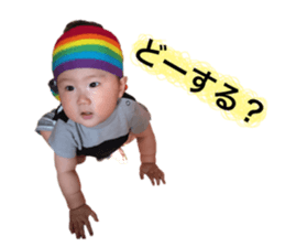 50230463