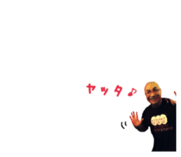 50232762