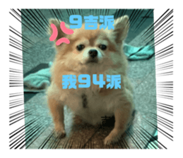 502341297