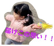 502375719