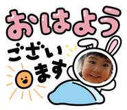 502375732