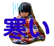 502375741