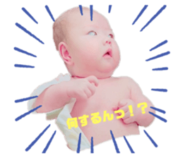 502376534