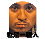 502380378