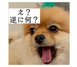 502386273
