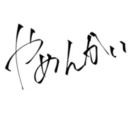 502392041