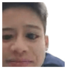 502399040