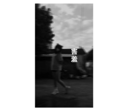 502410940