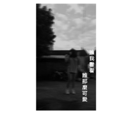 502410941